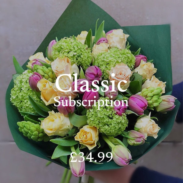 Classic Product Subscription