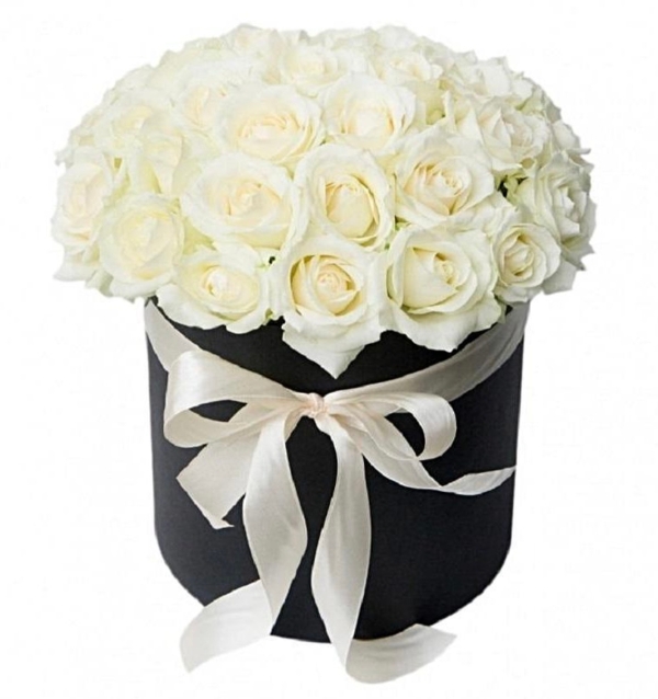 Bianco Hatbox