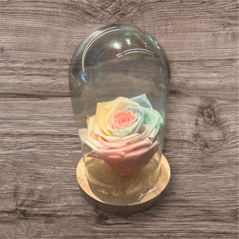 Long Lasting Preserved Rose