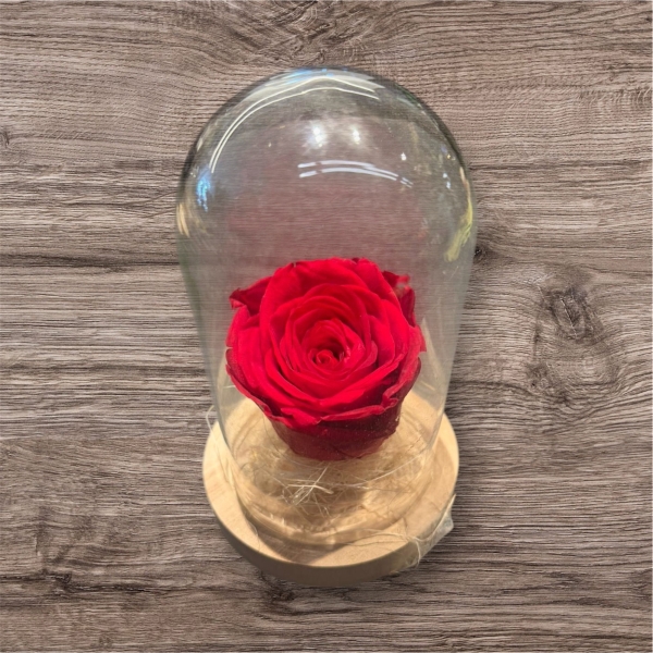 Long Lasting Preserved Rose