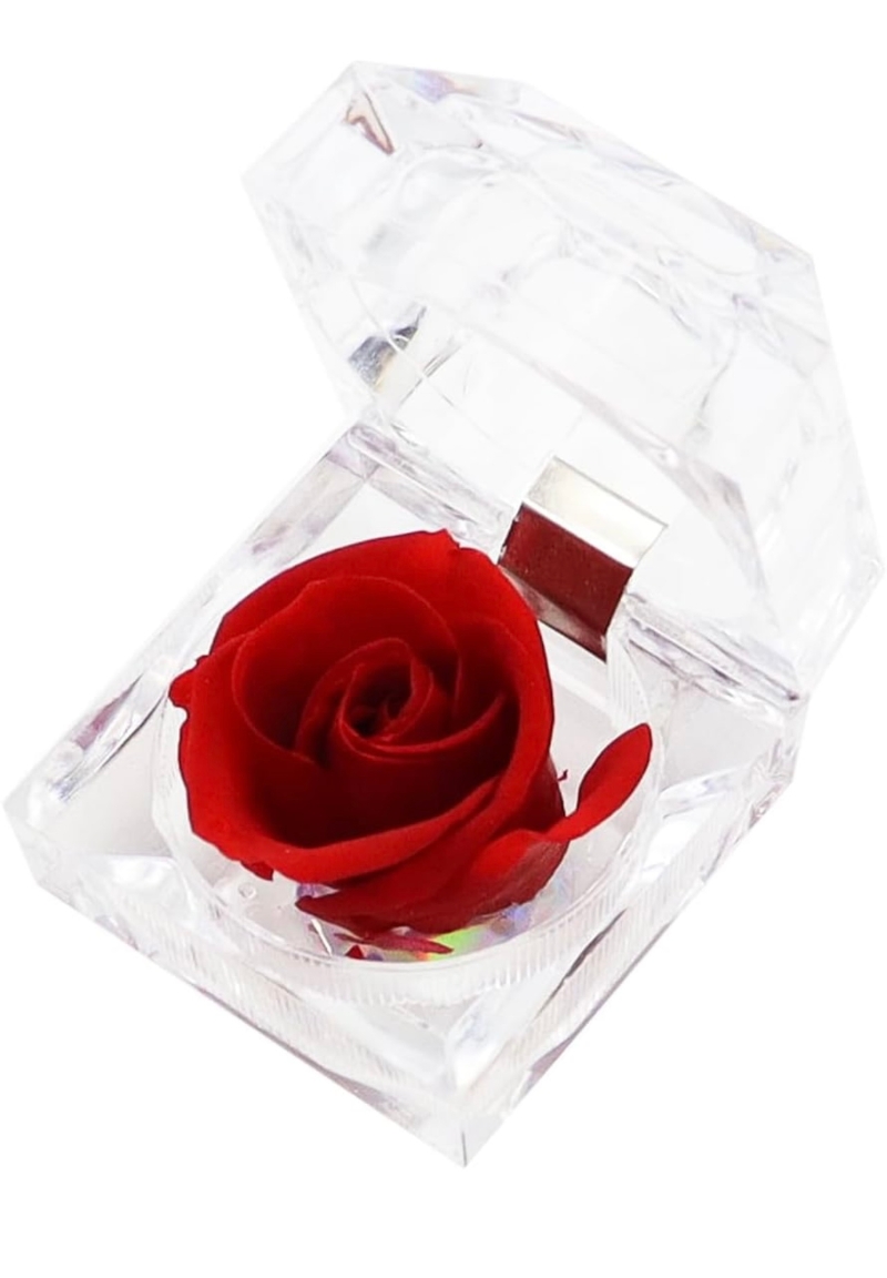 Preserved Rose in Jewellery Box