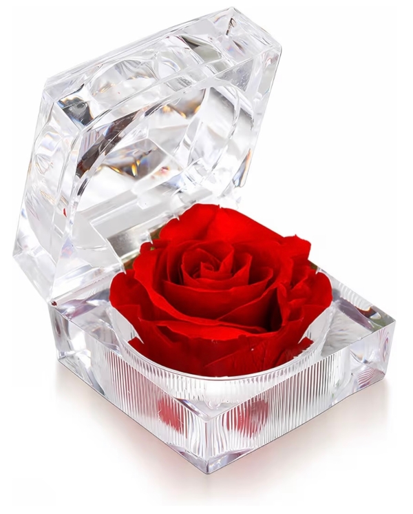 Preserved Rose in Jewellery Box