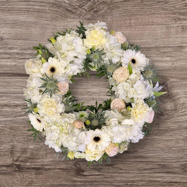 Wreath Hydrangea