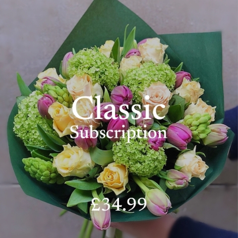 Classic Product Subscription