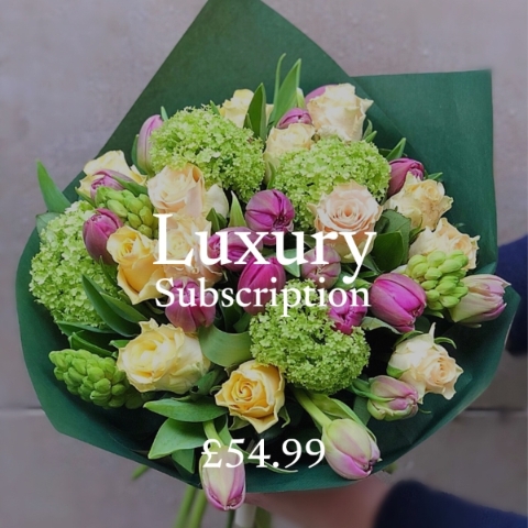 Luxury Product Subscription