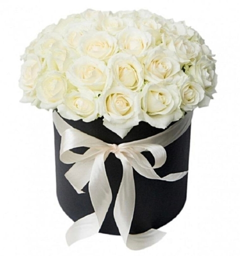 Bianco Hatbox